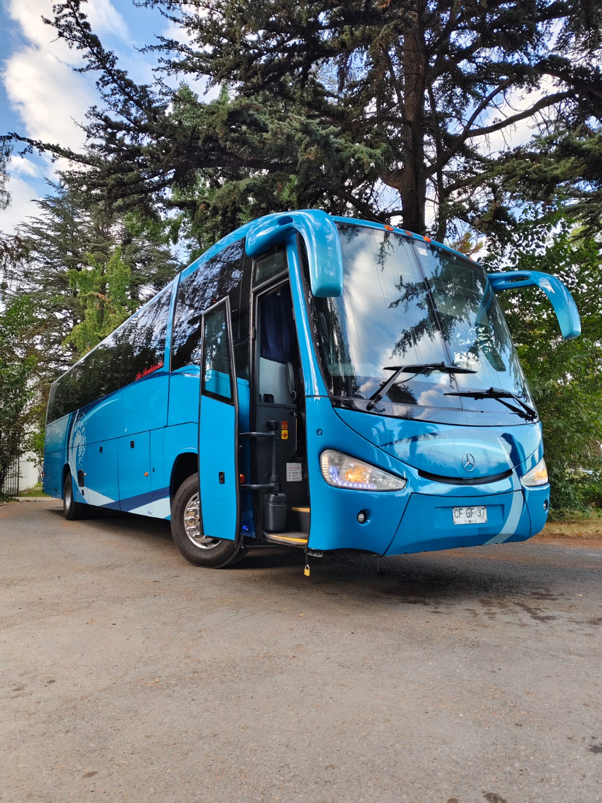 Buses