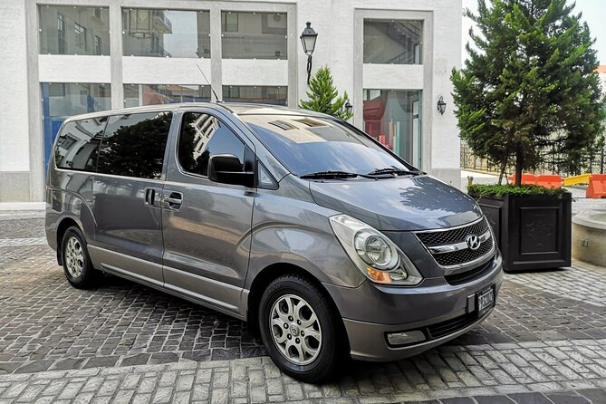 Vans y minibuses