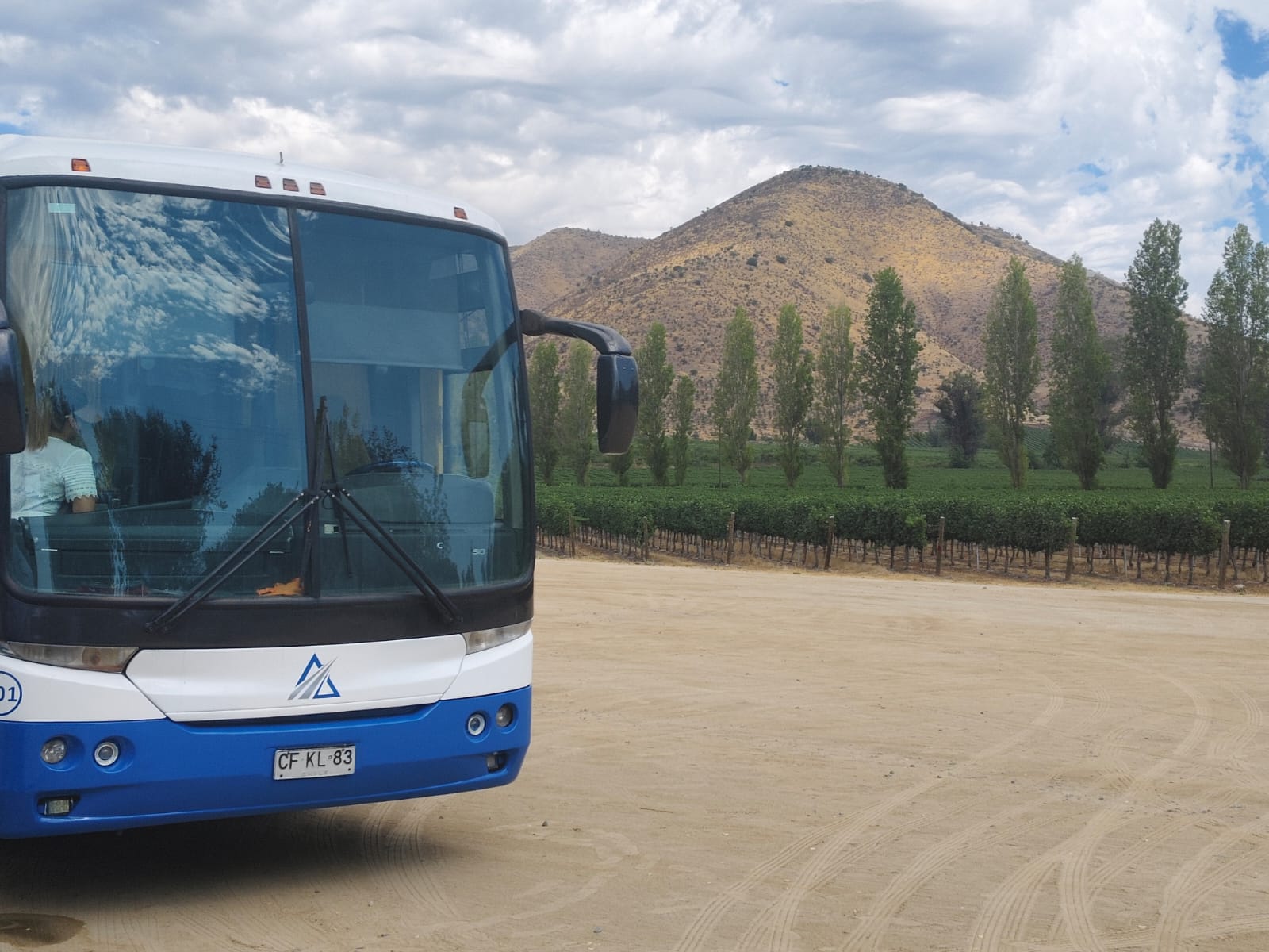 Bus de Transportes Jireh estacionado bajo árboles